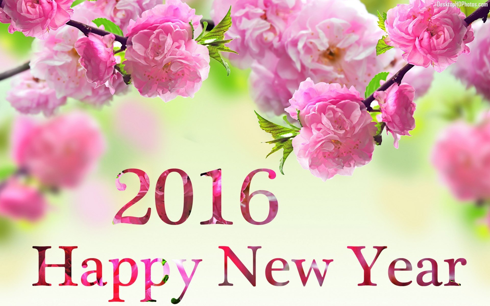 Free download New Year 2016 background ID:256744 hd 1920x1200 for computer