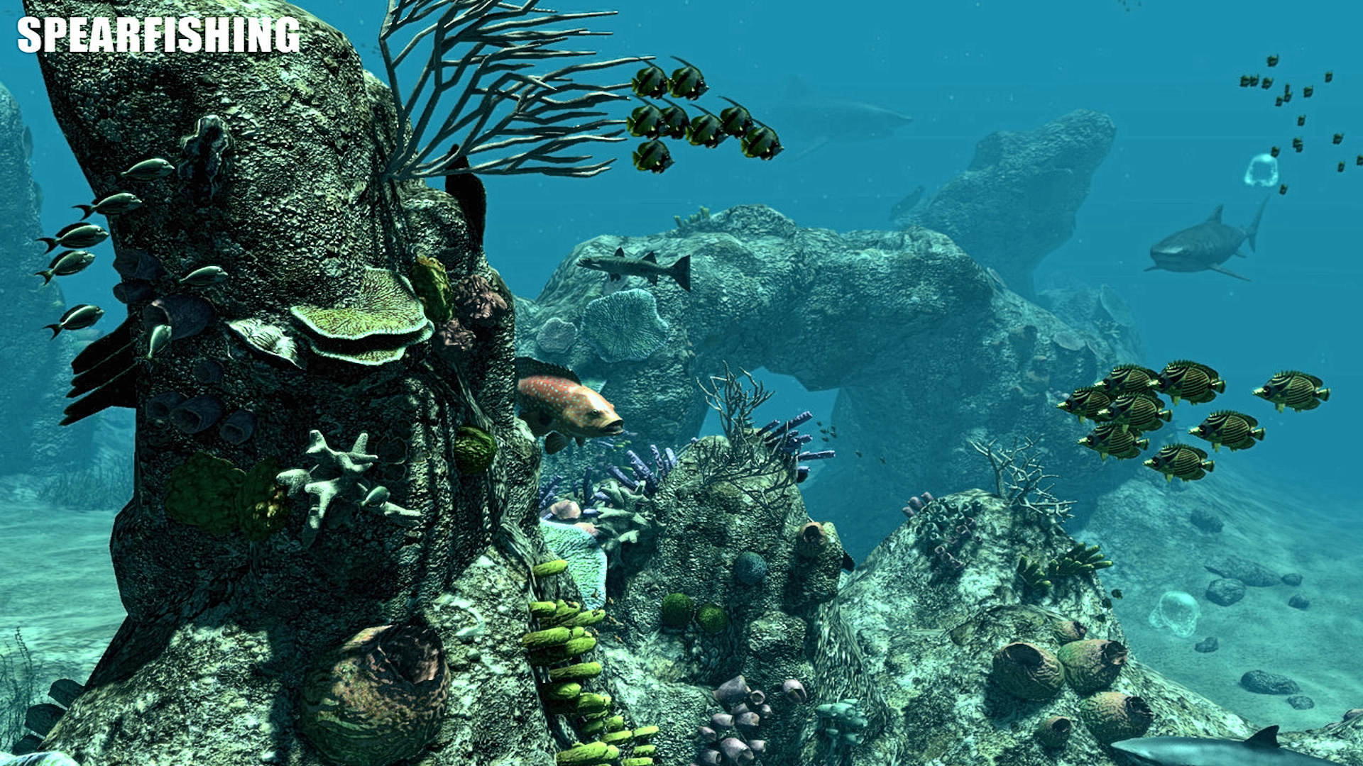 High resolution Spearfishing hd 1920x1080 background ID:135335 for computer