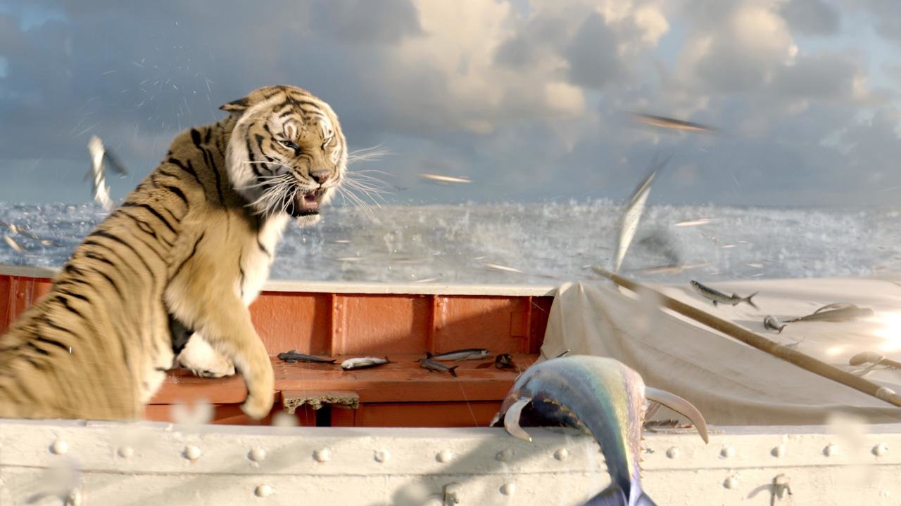 Free download Life Of Pi background ID:363582 hd 720p for PC