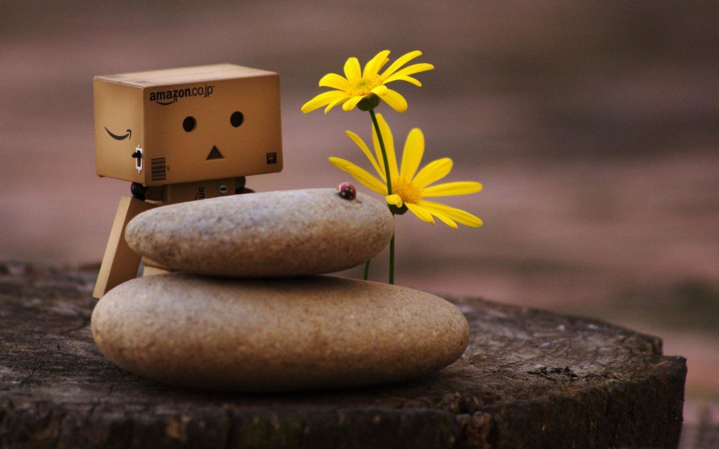 Download hd 1440x900 Danbo computer background ID:30382 for free