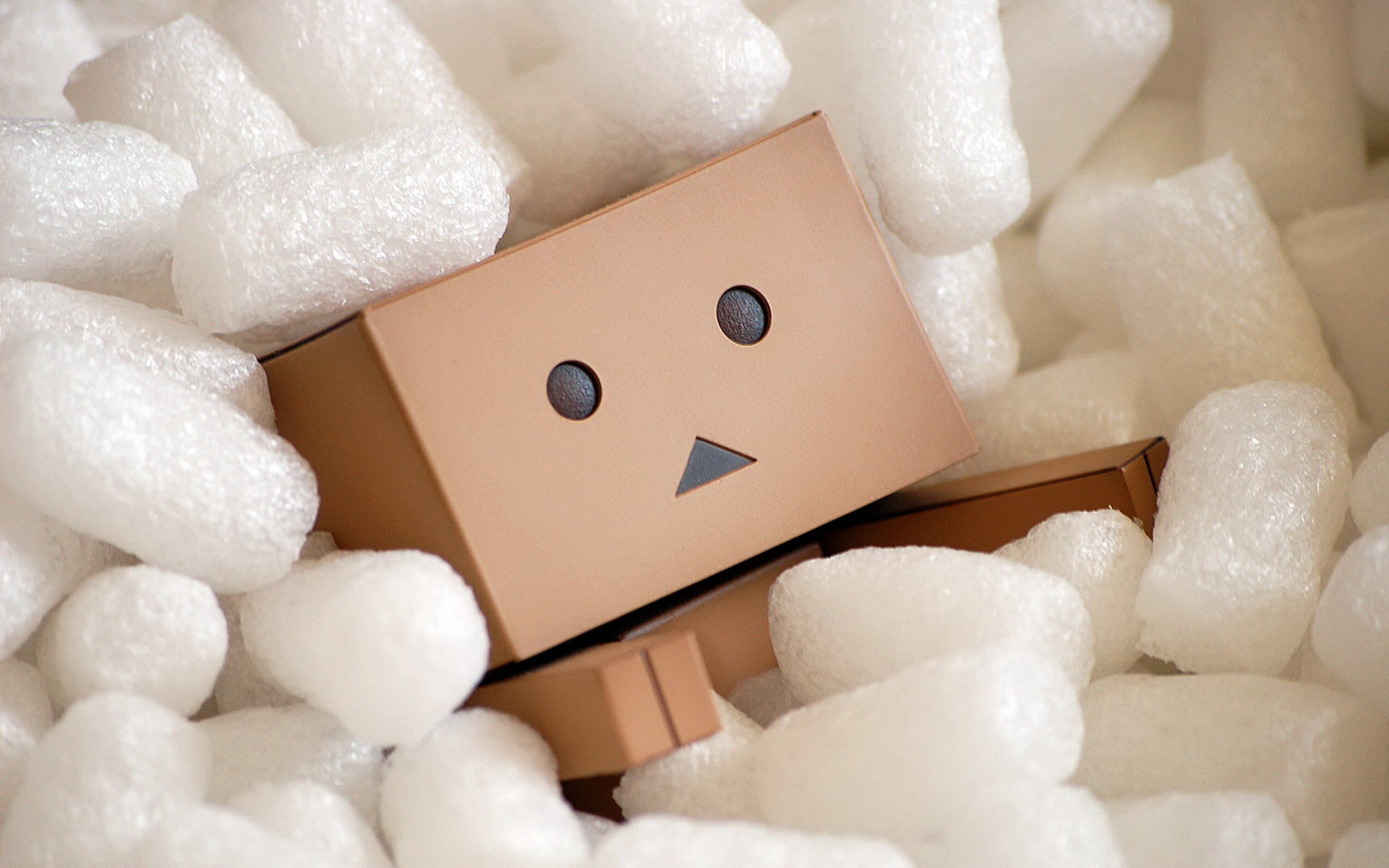 High resolution Danbo hd 1920x1200 background ID:30385 for PC