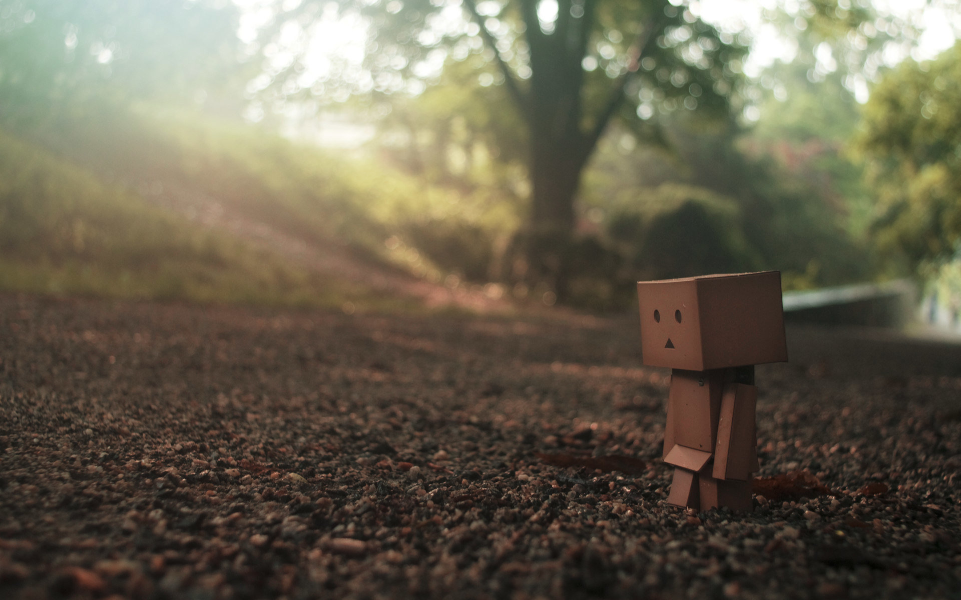Awesome Danbo free wallpaper ID:30380 for hd 1920x1200 computer