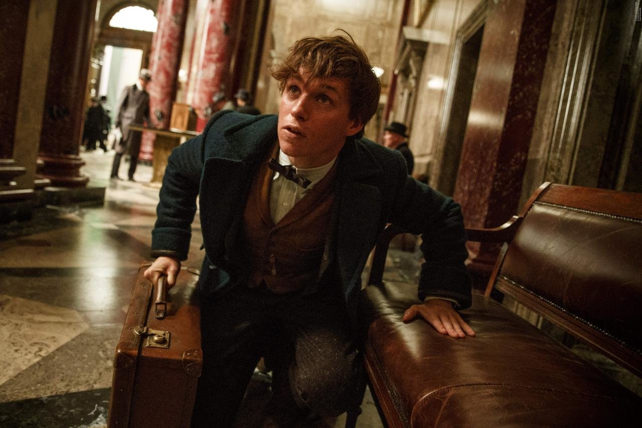 Free Fantastic Beasts And Where To Find Them high quality background ID:282822 for hd 1280x854 computer