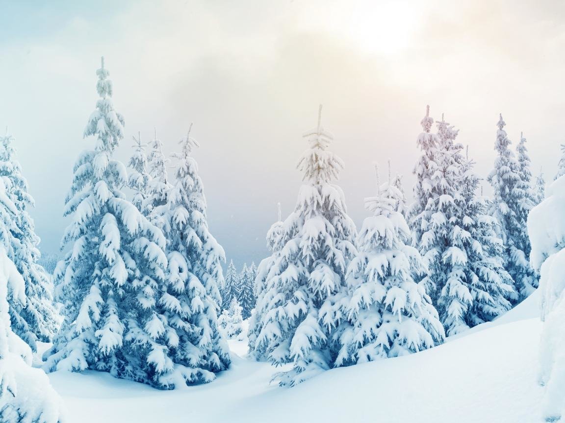 High resolution Winter hd 1152x864 background ID:252849 for computer