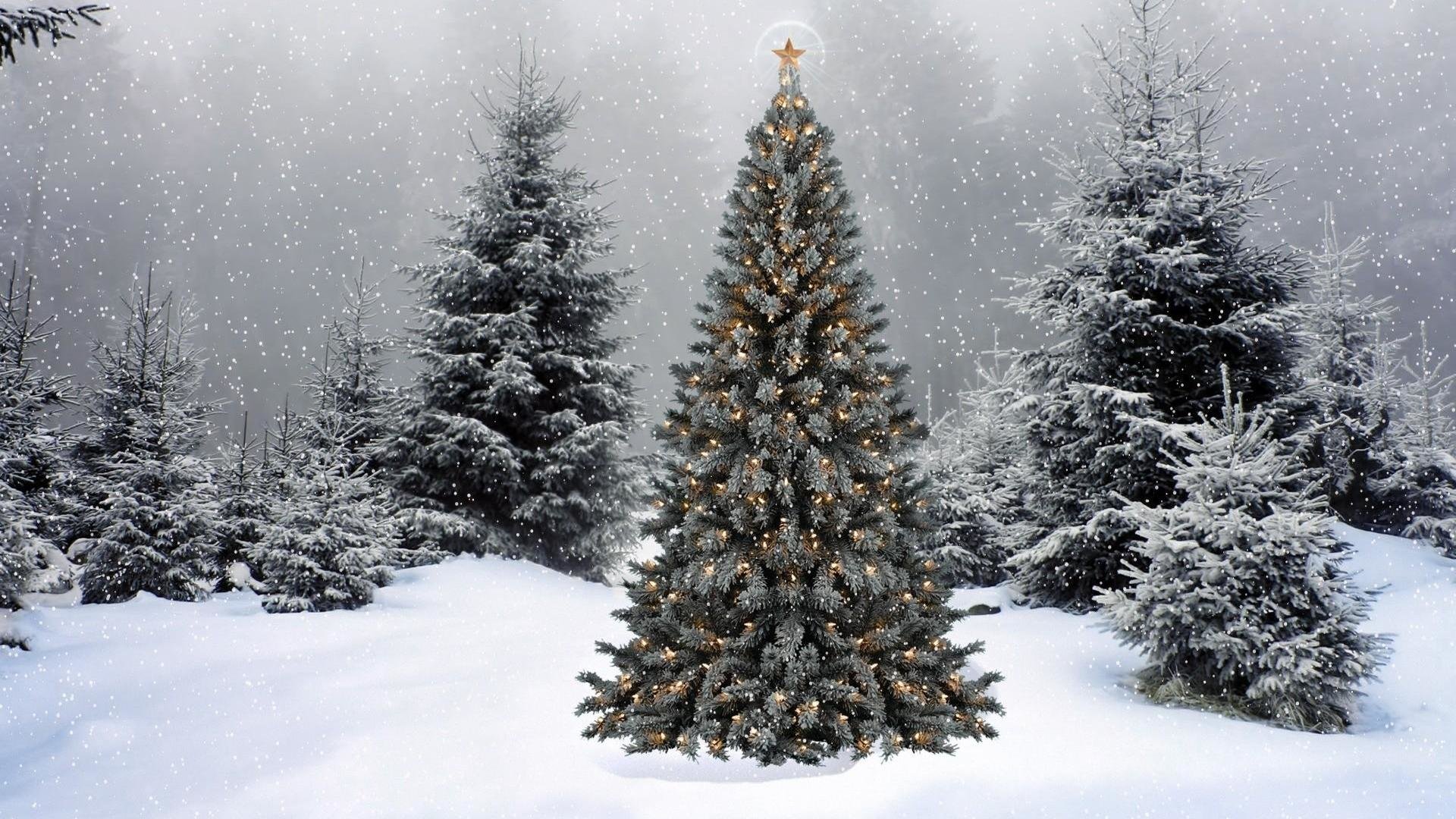 Download full hd Christmas Tree PC background ID:435326 for free