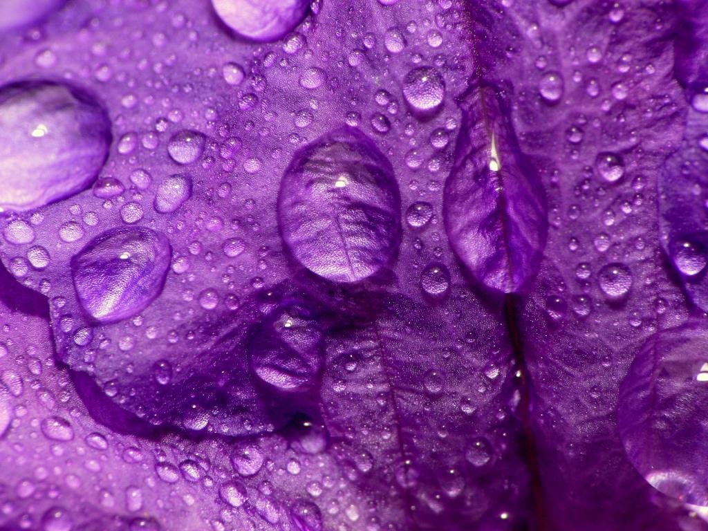 High resolution Water Drop hd 1024x768 wallpaper ID:430484 for computer
