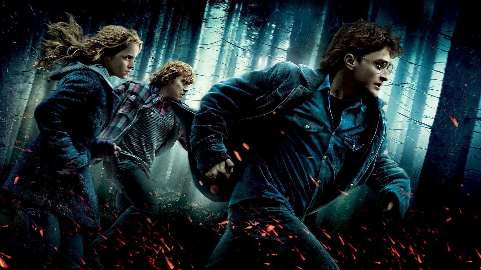 Free download Harry Potter And The Deathly Hallows: Part 1 wallpaper ID:144608 hd 1080p for desktop
