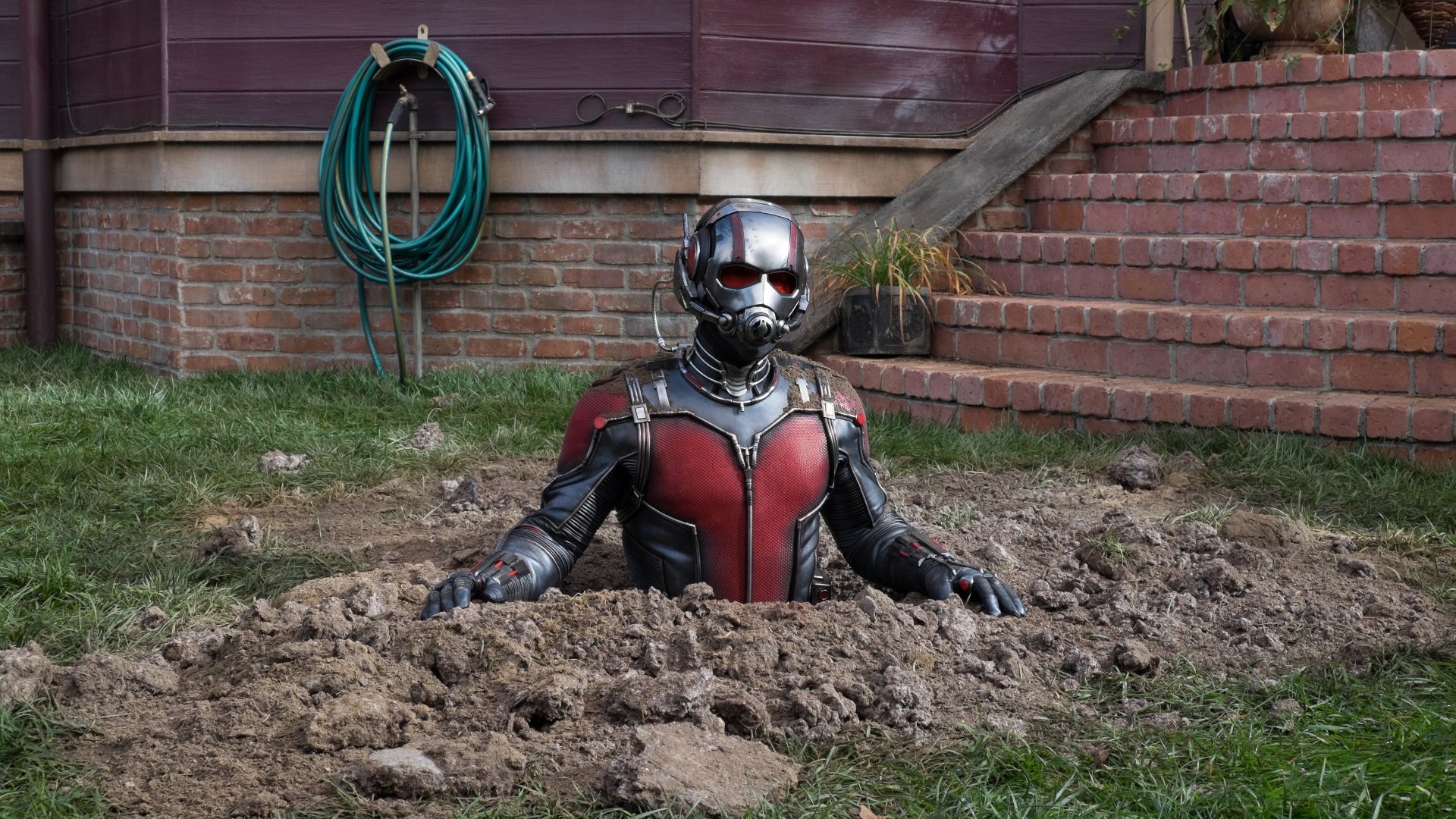 Download hd 1080p Ant-Man PC wallpaper ID:254659 for free