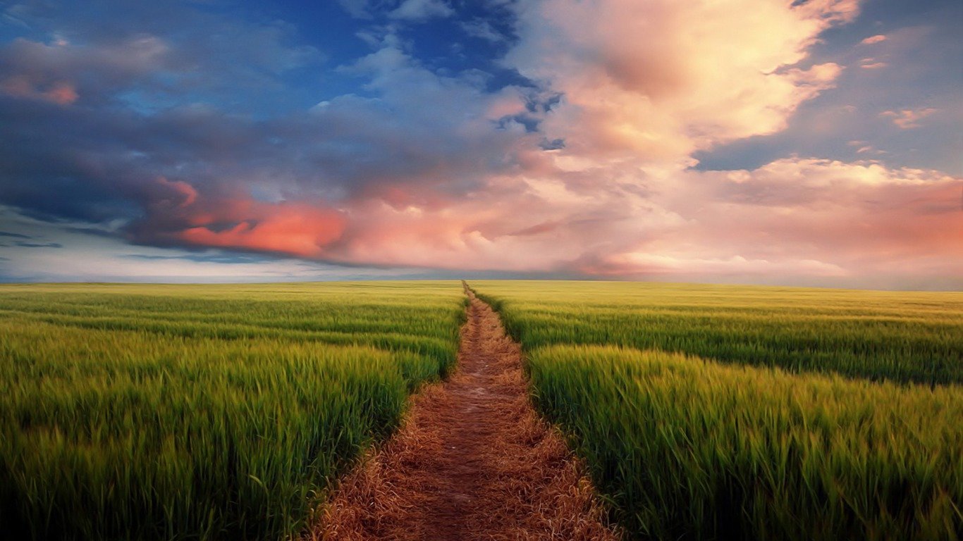 Download 1366x768 laptop Grass desktop background ID:377784 for free