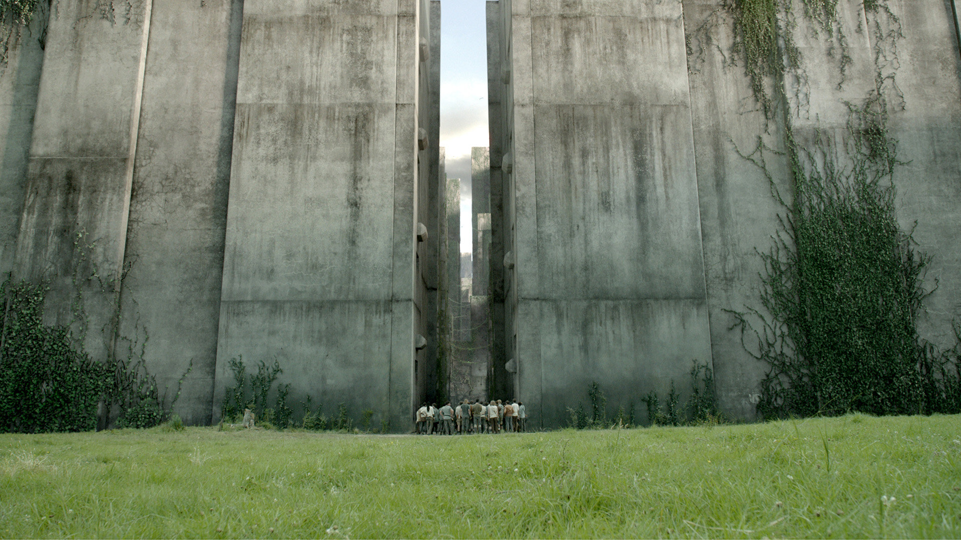 Free download The Maze Runner background ID:131238 hd 1080p for desktop