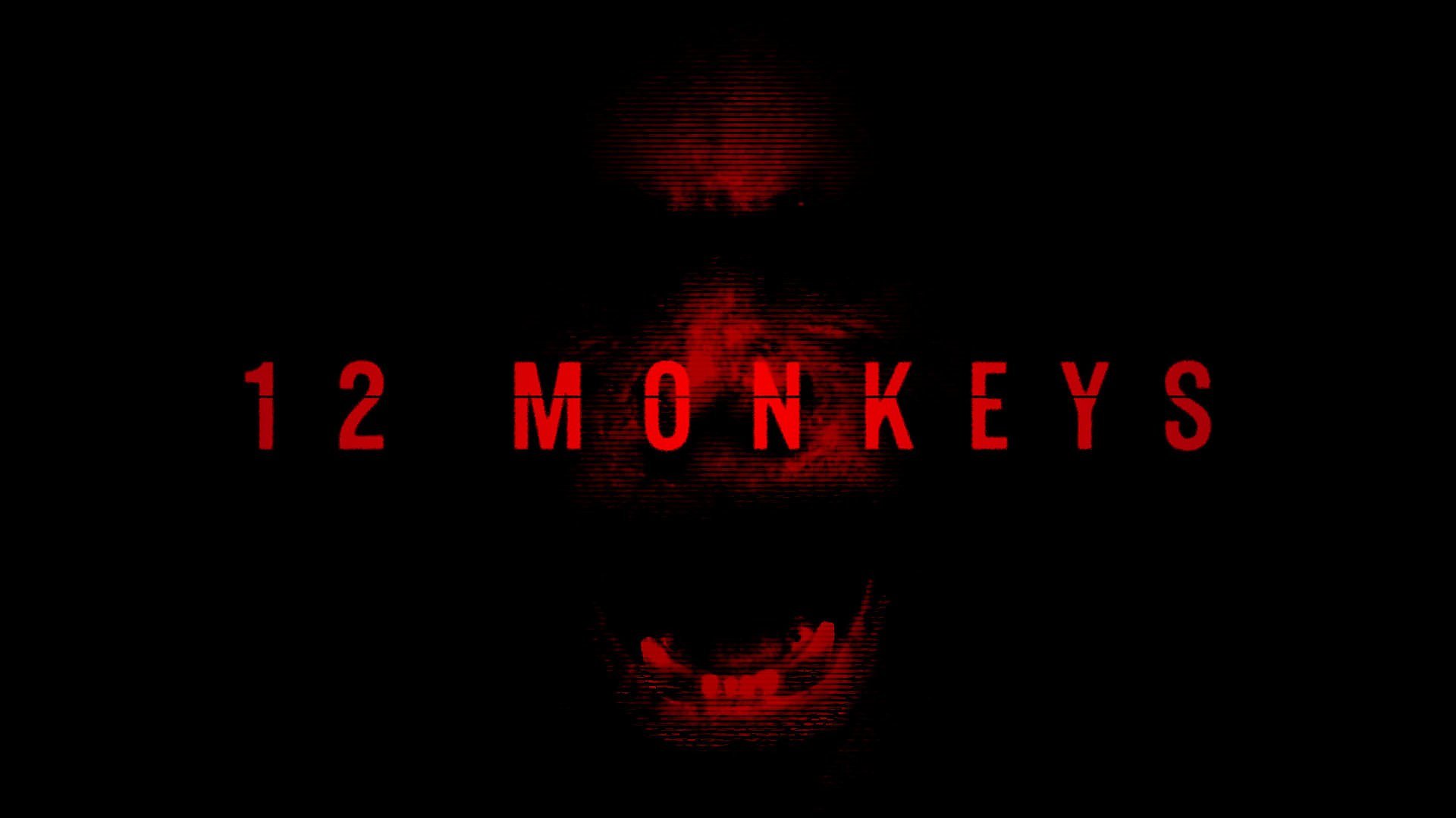 Best 12 Monkeys background ID:150571 for High Resolution hd 1920x1080 desktop