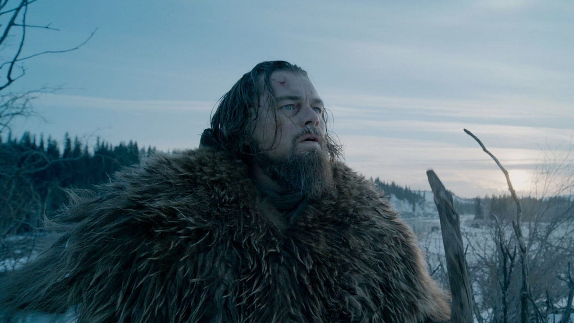 Free download The Revenant background ID:65094 full hd 1080p for PC