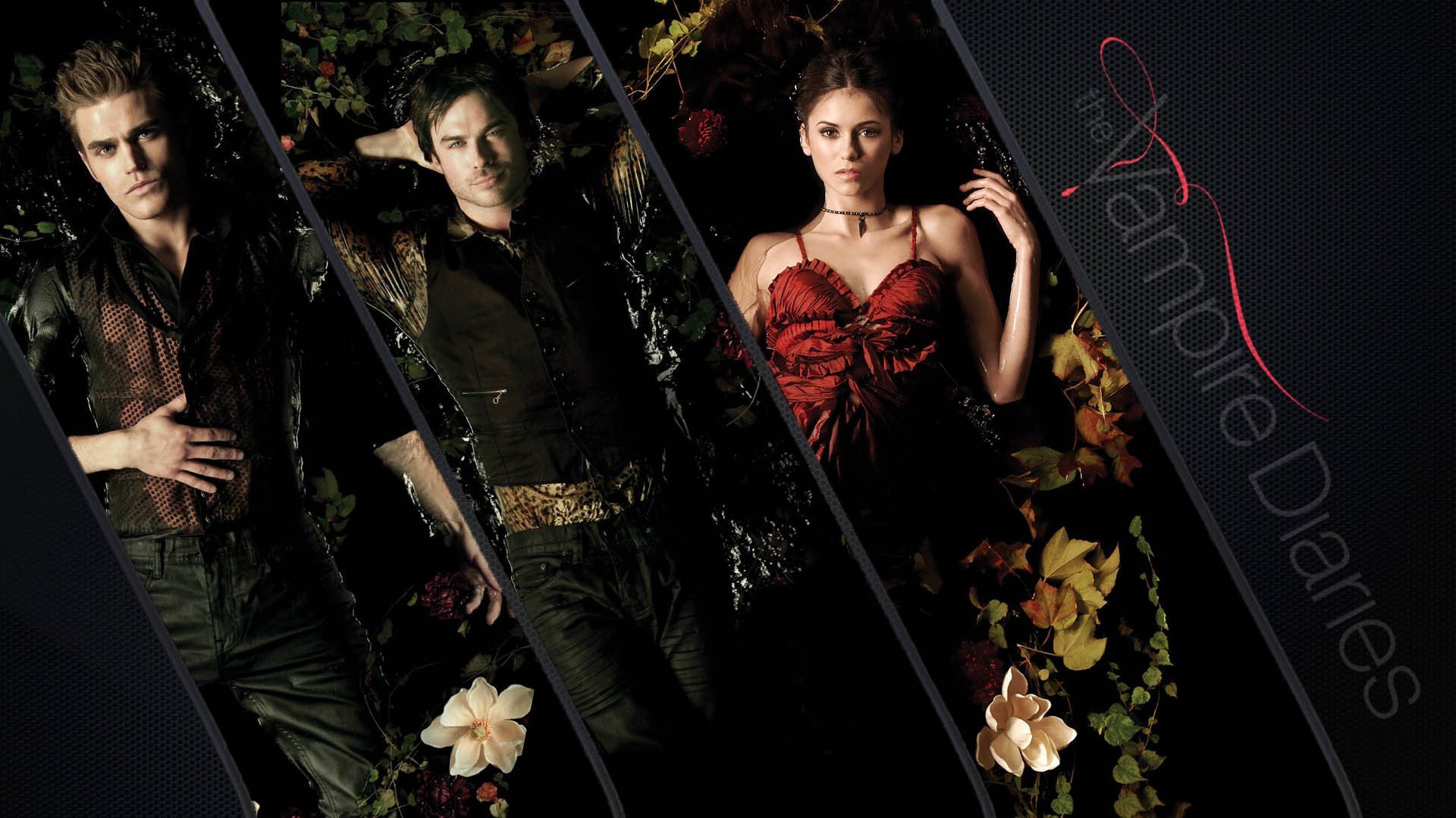 Best The Vampire Diaries background ID:464984 for High Resolution full hd 1920x1080 desktop