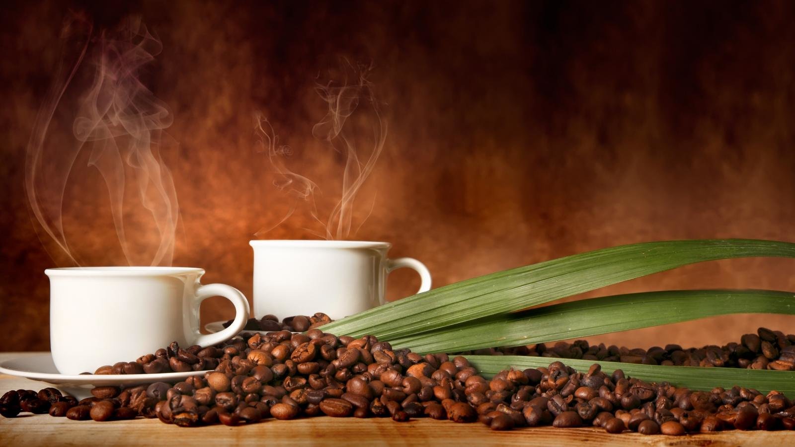 Free Coffee high quality background ID:33928 for hd 1600x900 computer