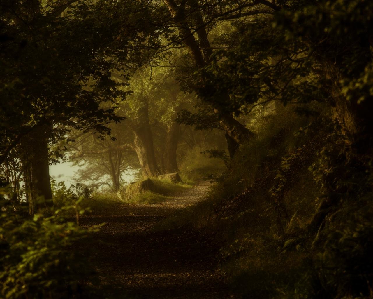 Best Path wallpaper ID:465650 for High Resolution hd 1280x1024 computer
