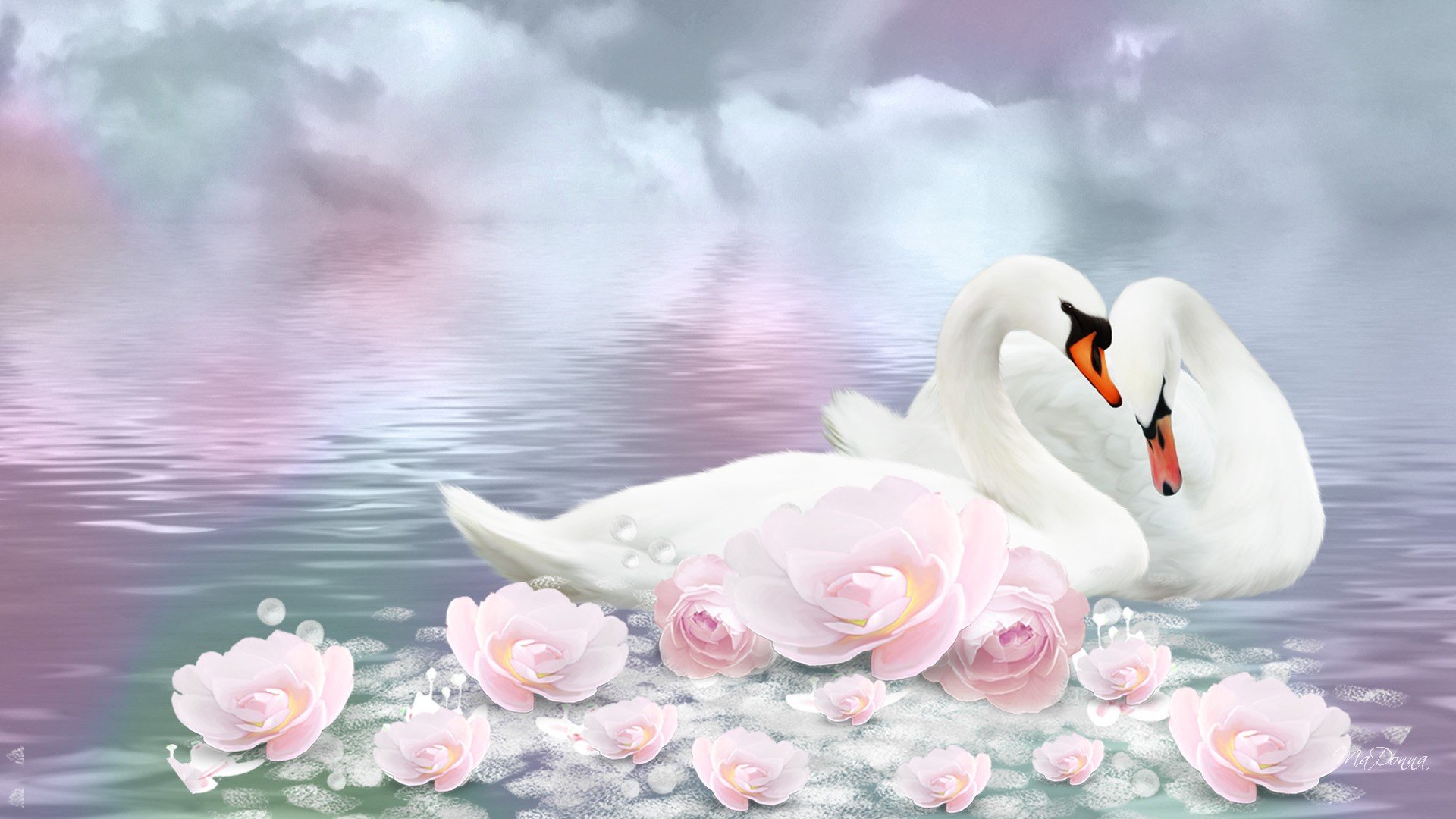 Best Swan background ID:169322 for High Resolution 1080p computer