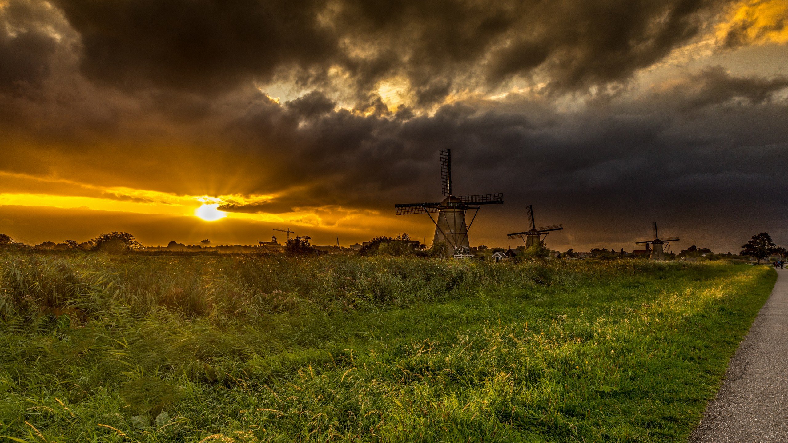 Best Windmill background ID:482525 for High Resolution hd 2560x1440 computer