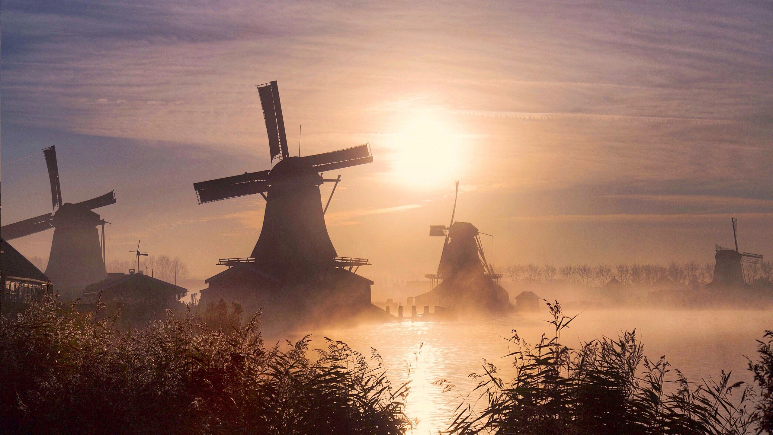 Free Windmill high quality background ID:482569 for hd 2560x1440 PC