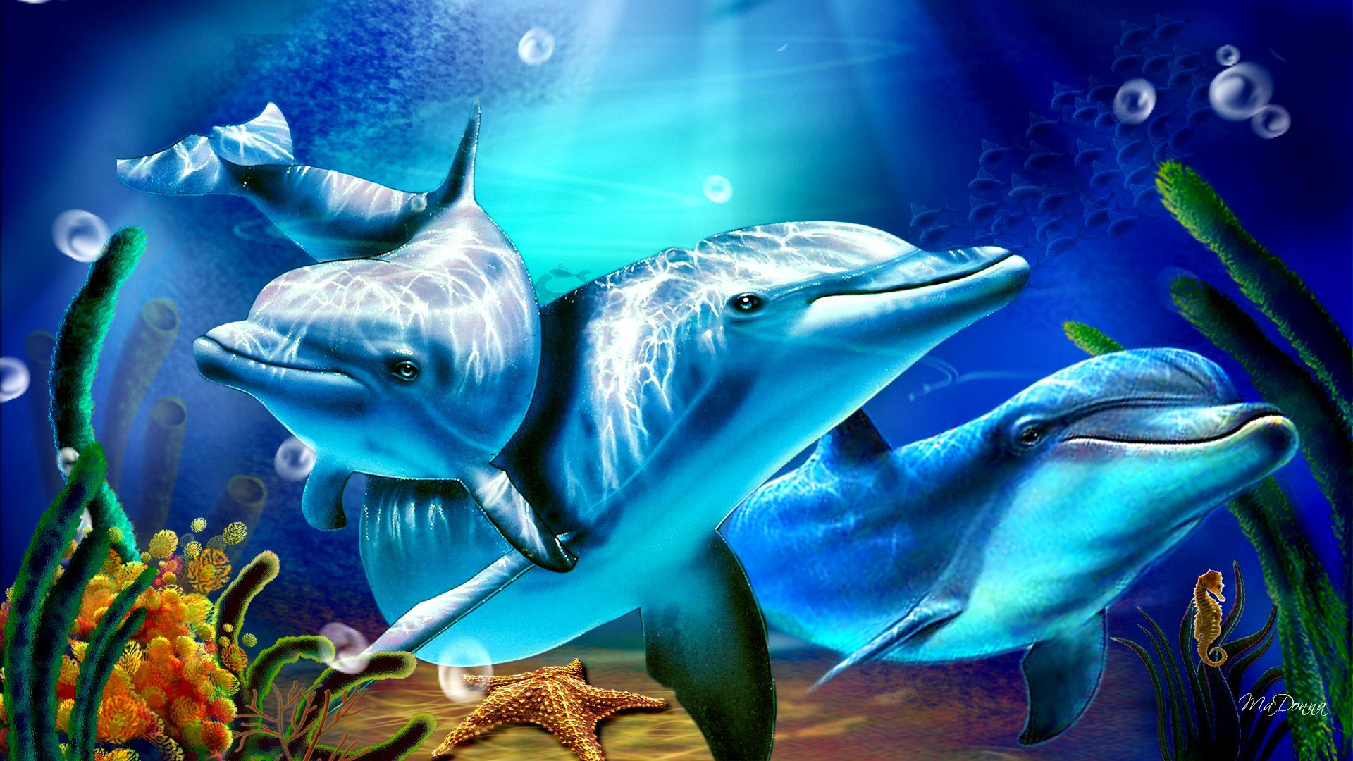 Awesome Dolphin free background ID:248323 for full hd 1920x1080 computer