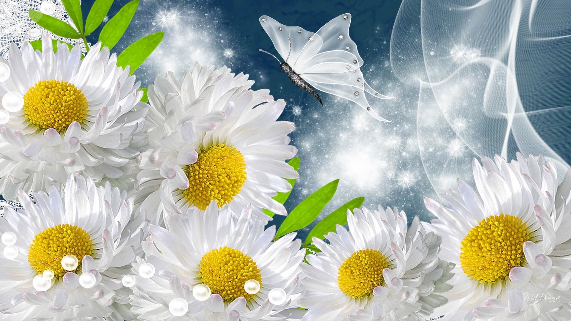 Free download Cool flower wallpaper ID:75556 hd 1080p for desktop