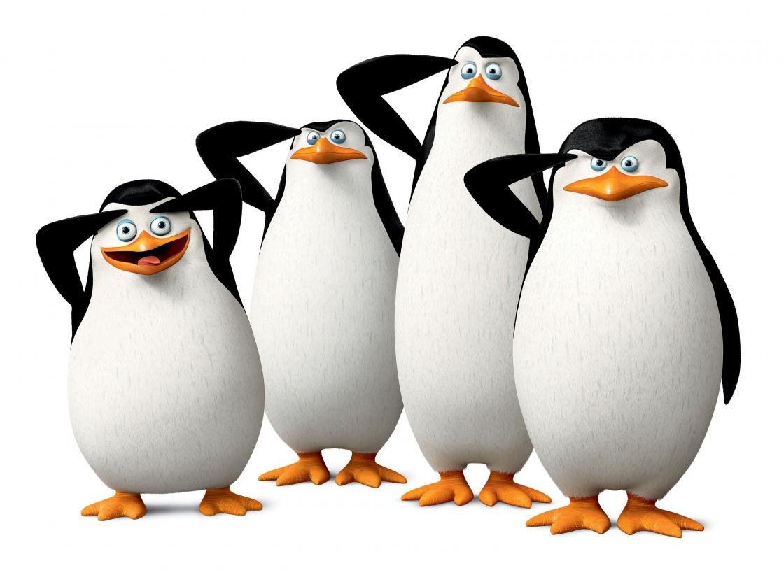 High resolution Penguins Of Madagascar hd 1120x832 wallpaper ID:385306 for desktop