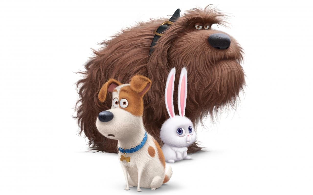 Free download The Secret Life Of Pets background ID:211951 hd 1280x800 for computer