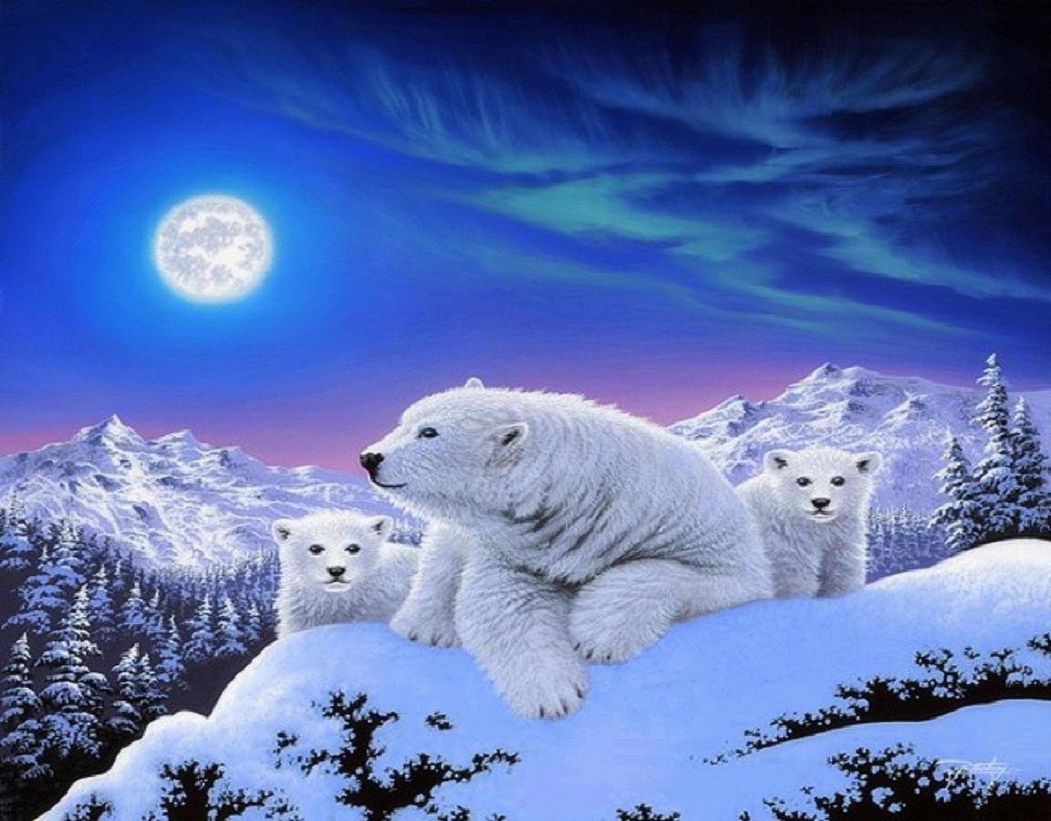 Best Polar Bear wallpaper ID:359983 for High Resolution hd 1152x900 PC