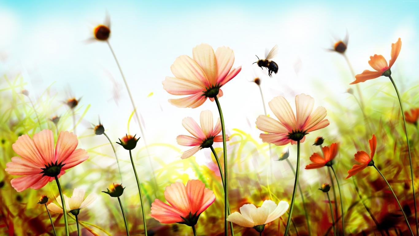 Free Cosmos high quality wallpaper ID:272078 for 1366x768 laptop computer