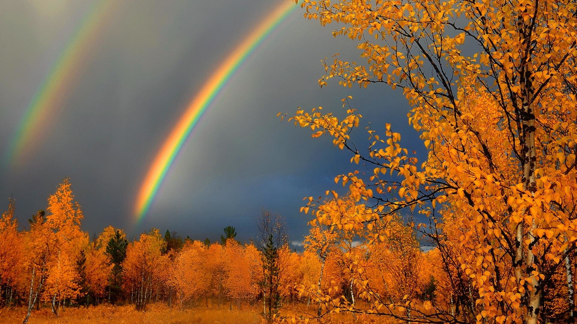 Awesome Rainbow free wallpaper ID:402836 for hd 1080p PC
