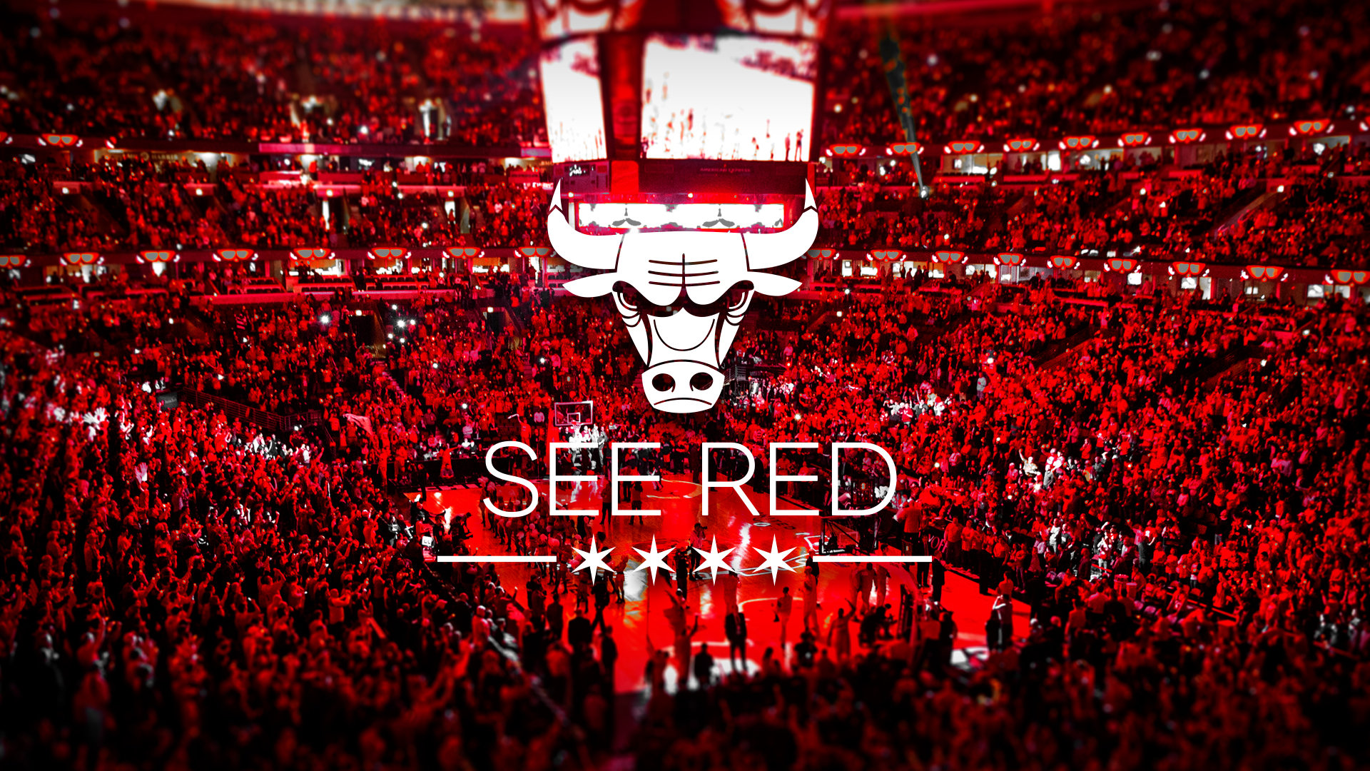 Free Chicago Bulls high quality background ID:138080 for full hd 1080p desktop