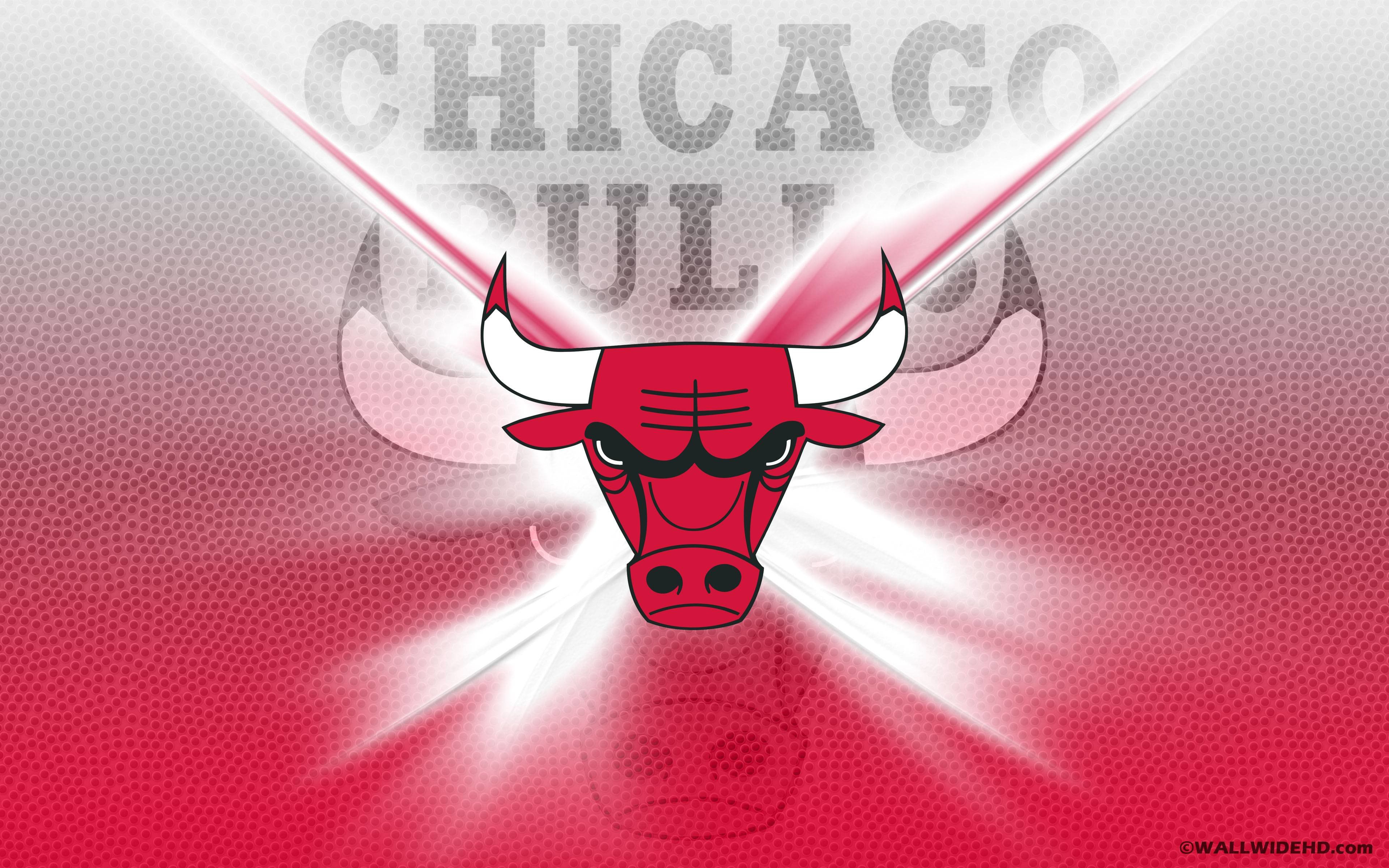 High resolution Chicago Bulls hd 3840x2400 background ID:138076 for computer