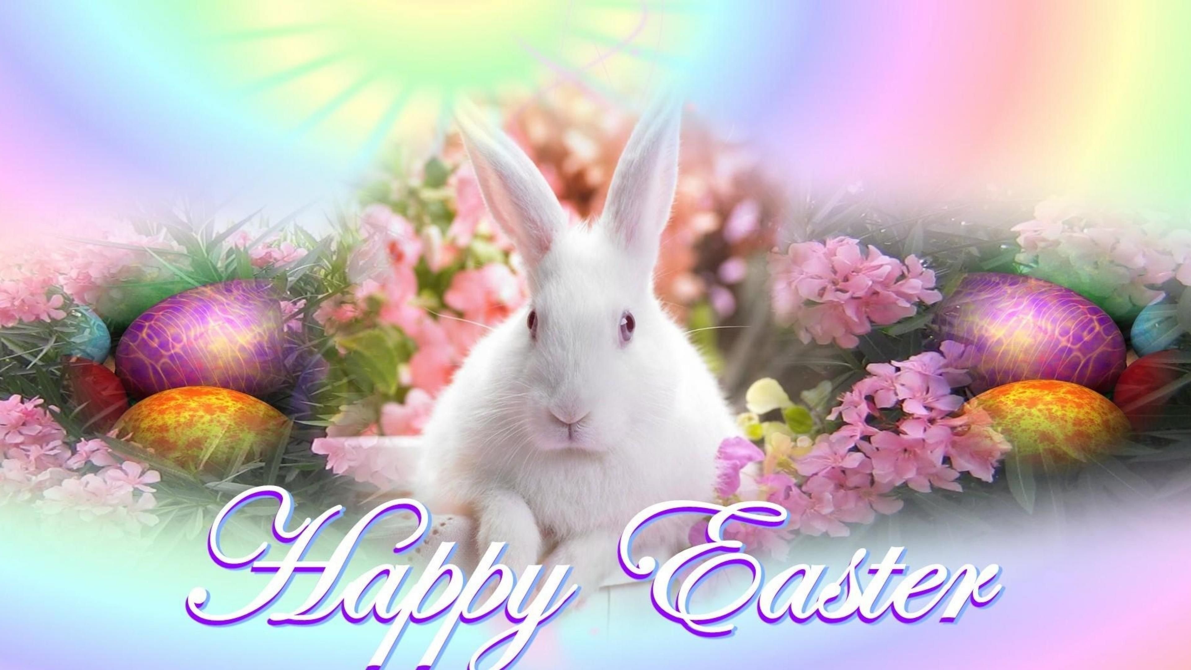 Best Easter Egg background ID:324727 for High Resolution hd 4k desktop