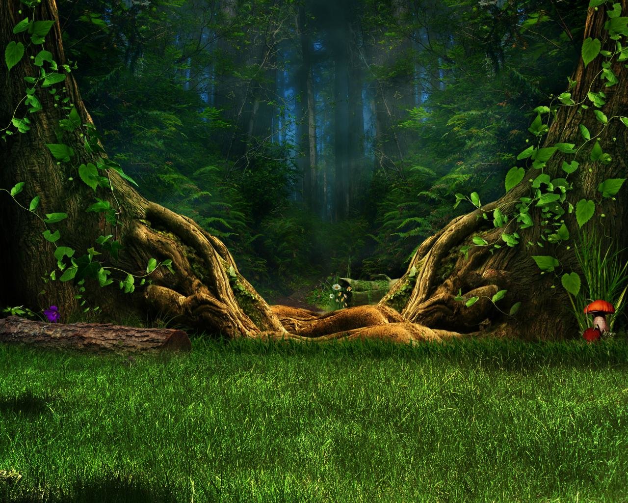 Best Fantasy forest background ID:20473 for High Resolution hd 1280x1024 computer