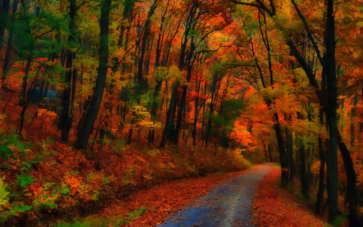 High resolution Road hd 1440x900 background ID:491768 for PC