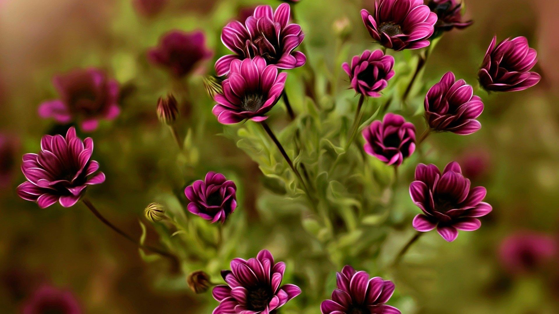 Free Purple Flower high quality background ID:286092 for hd 1920x1080 computer