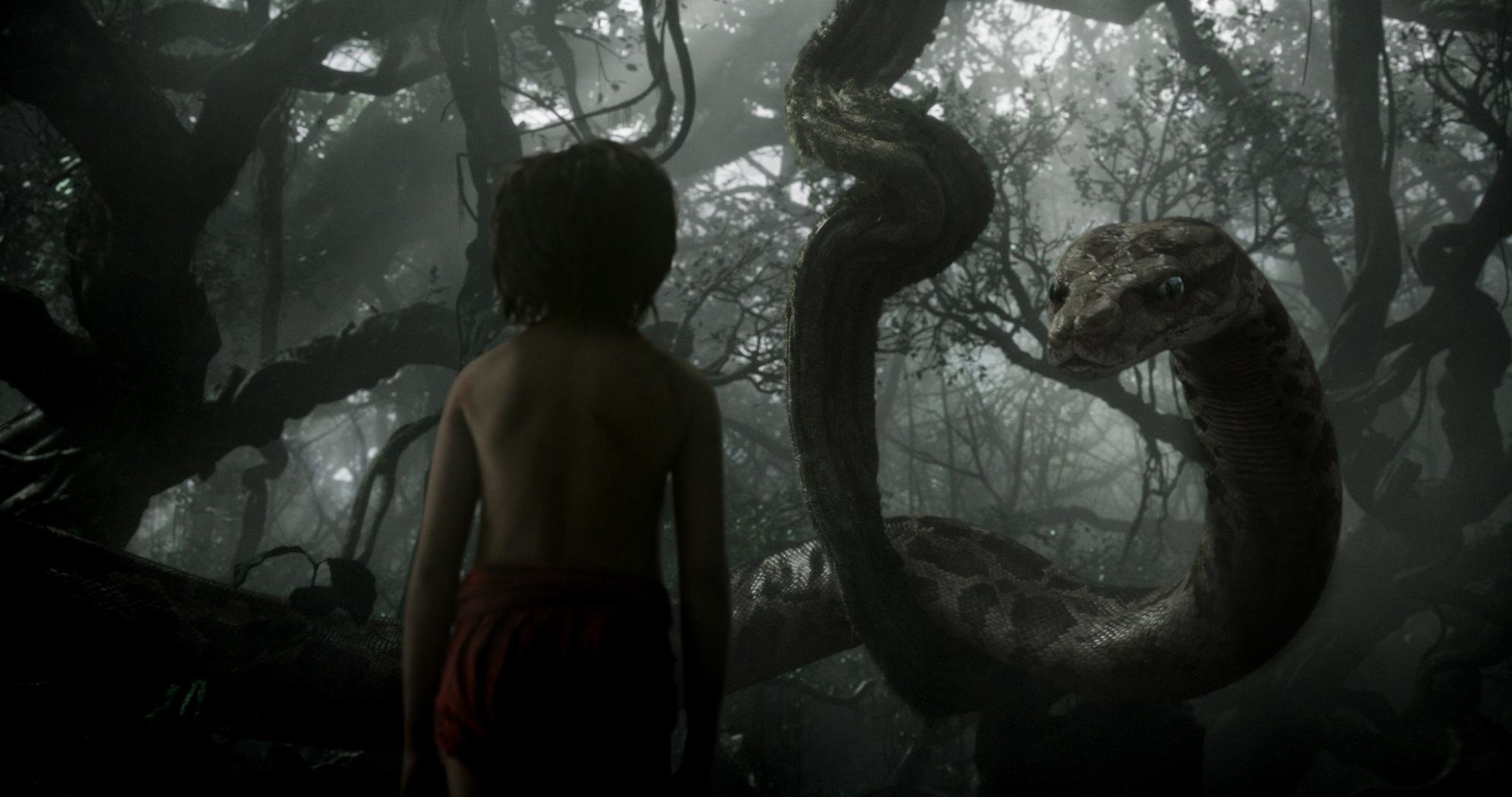 Best The Jungle Book Movie (2016) background ID:86447 for High Resolution hd 2048x1080 computer