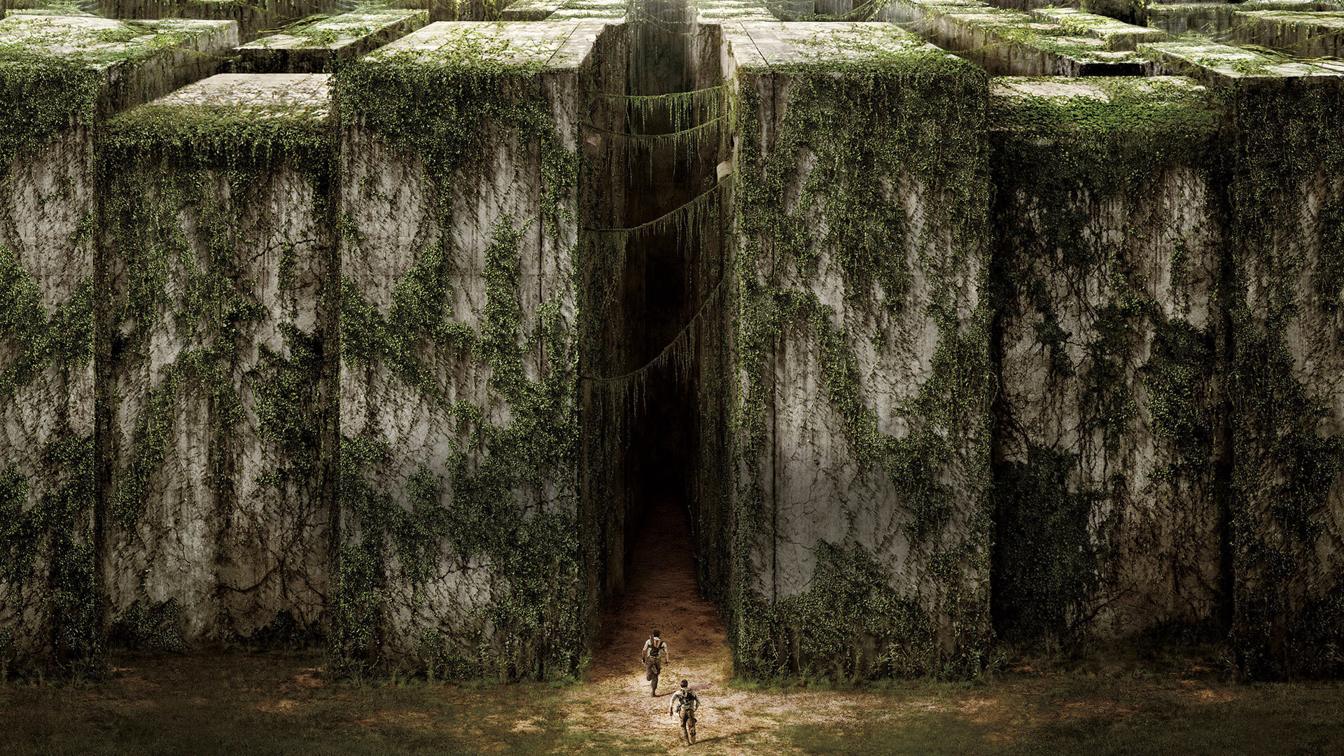 Best The Maze Runner background ID:131233 for High Resolution full hd PC
