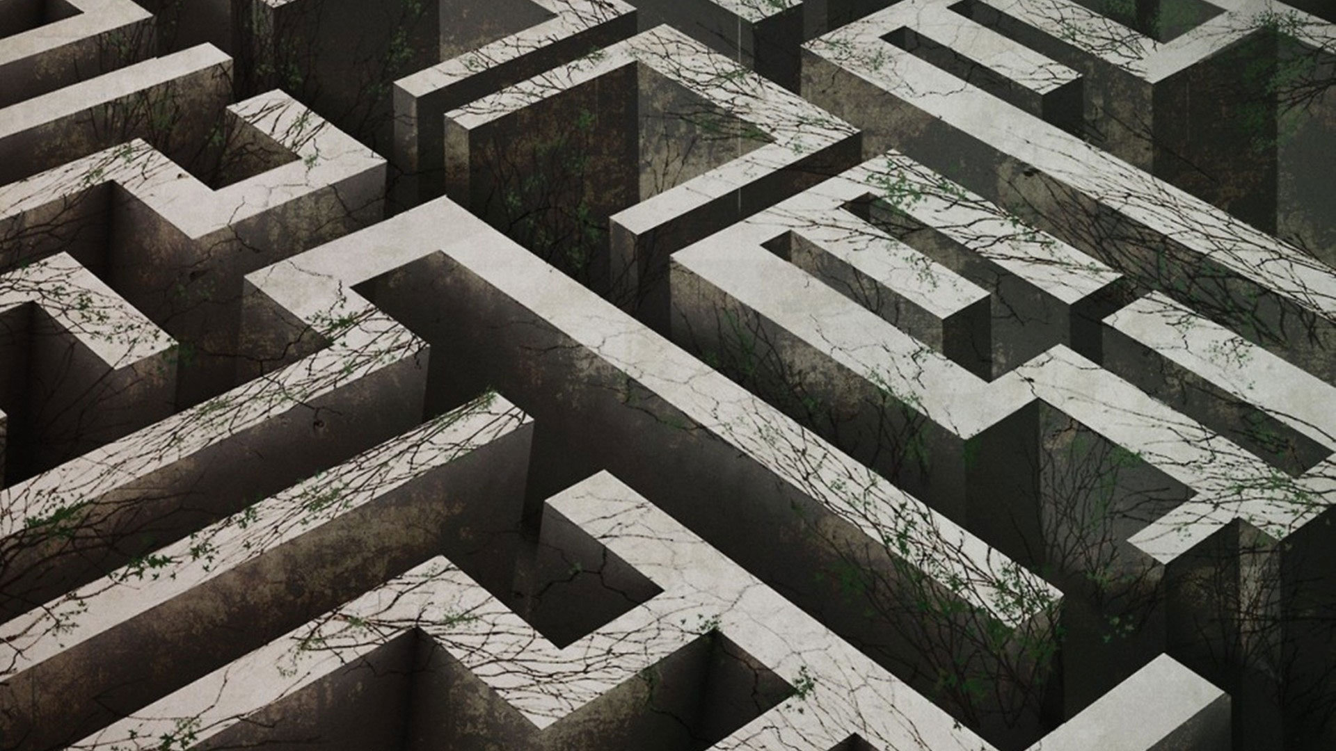 Download full hd The Maze Runner PC wallpaper ID:131249 for free
