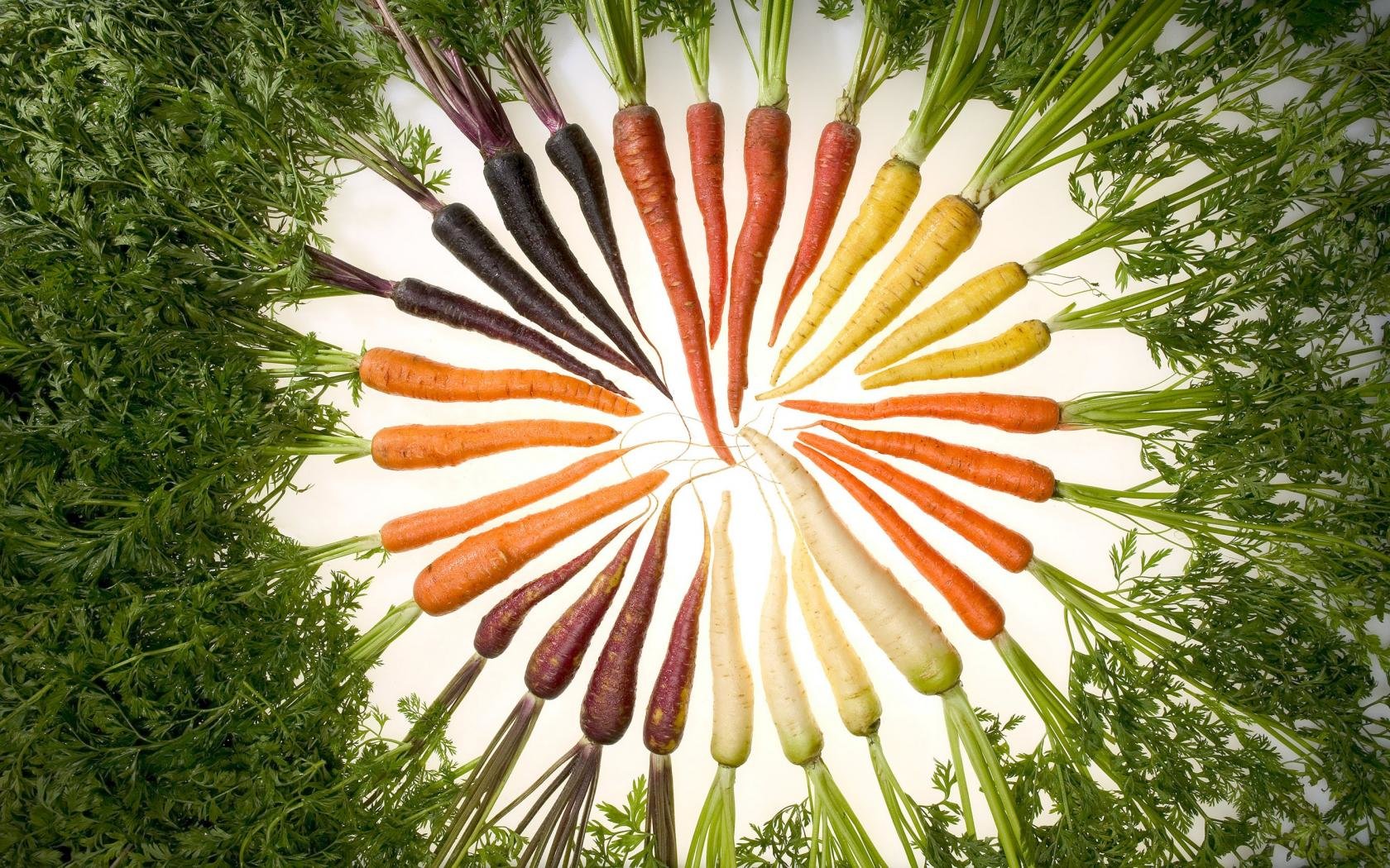 Free download Carrot background ID:89967 hd 1680x1050 for desktop