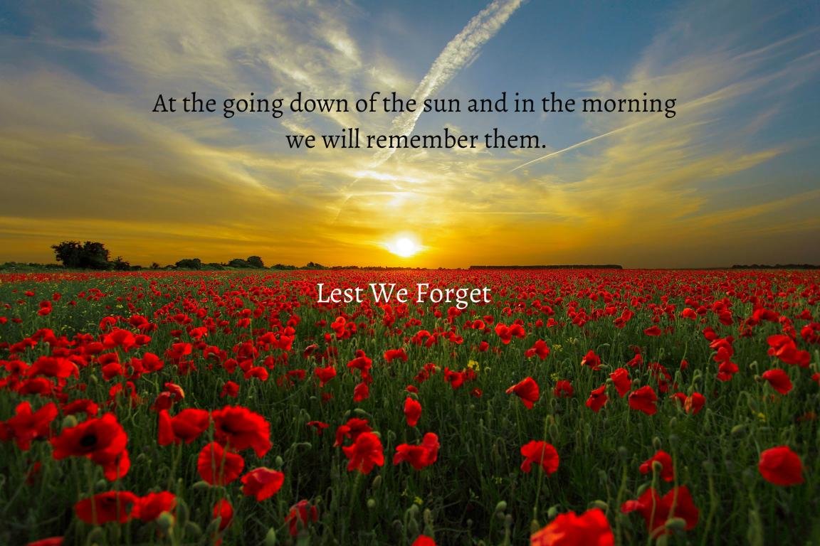 Awesome Anzac Day free background ID:455063 for hd 1152x768 PC