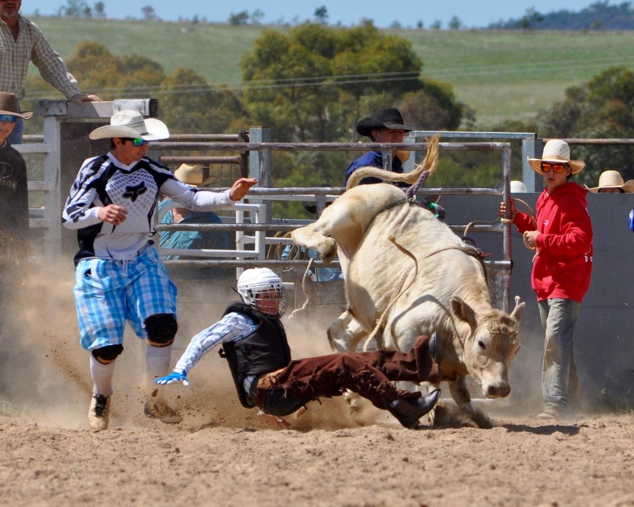 Awesome Rodeo free wallpaper ID:196068 for hd 1280x1024 computer