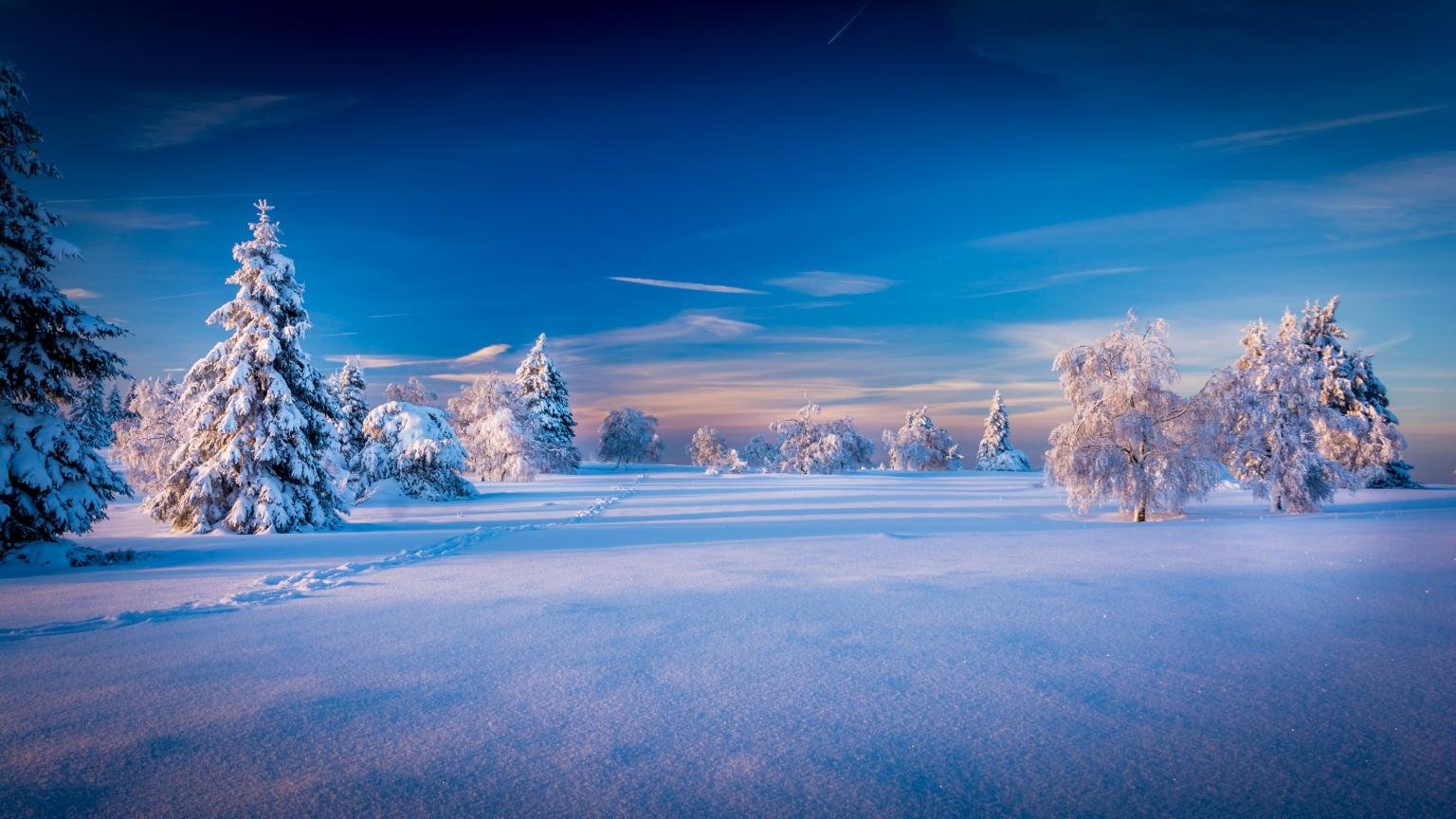 Download hd 1536x864 Winter PC background ID:251358 for free