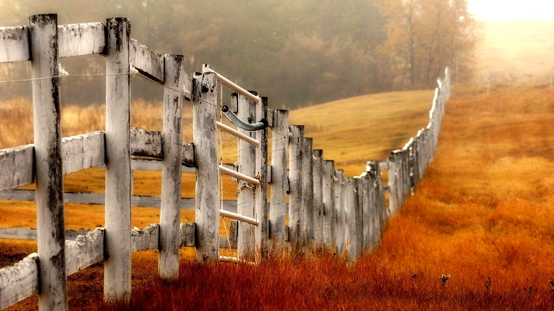 Free Fence high quality wallpaper ID:23047 for 1080p computer