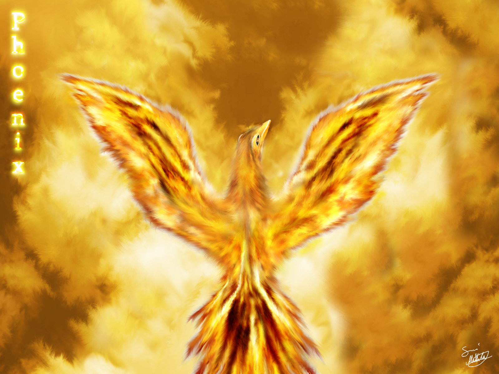 Download hd 1600x1200 Phoenix PC background ID:100491 for free