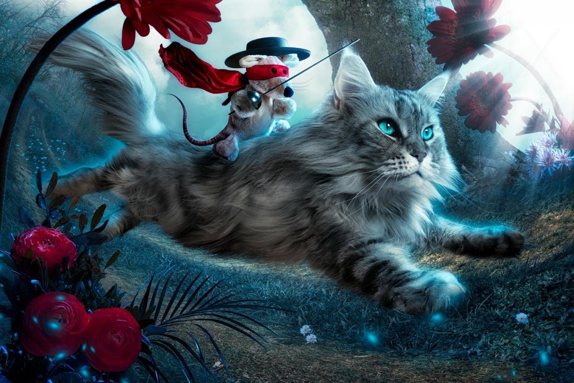 High resolution Cat Fantasy hd 1152x768 background ID:247029 for computer