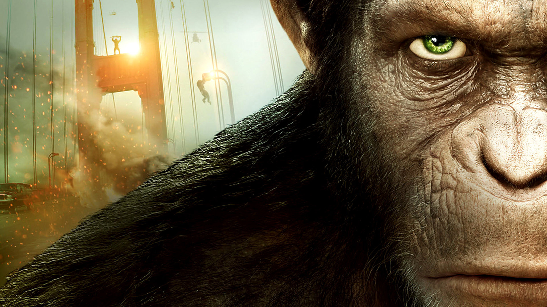 Free Dawn Of The Planet Of The Apes high quality wallpaper ID:213709 for hd 1920x1080 computer