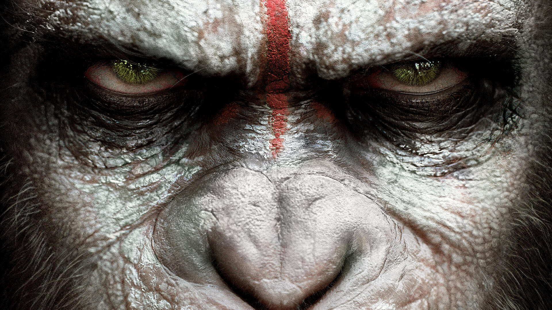 Best Dawn Of The Planet Of The Apes wallpaper ID:213719 for High Resolution hd 1920x1080 computer