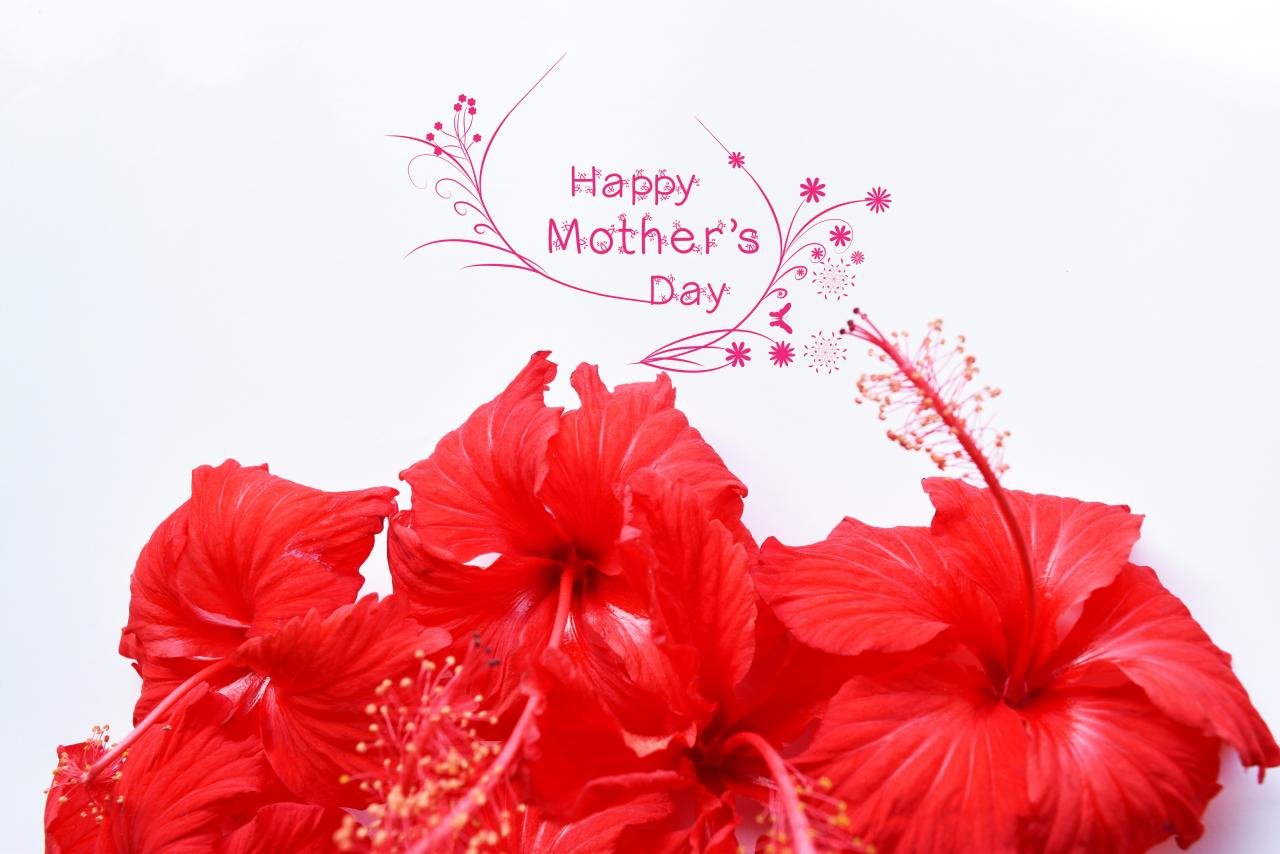 Awesome Mother's Day free wallpaper ID:473538 for hd 1280x854 PC