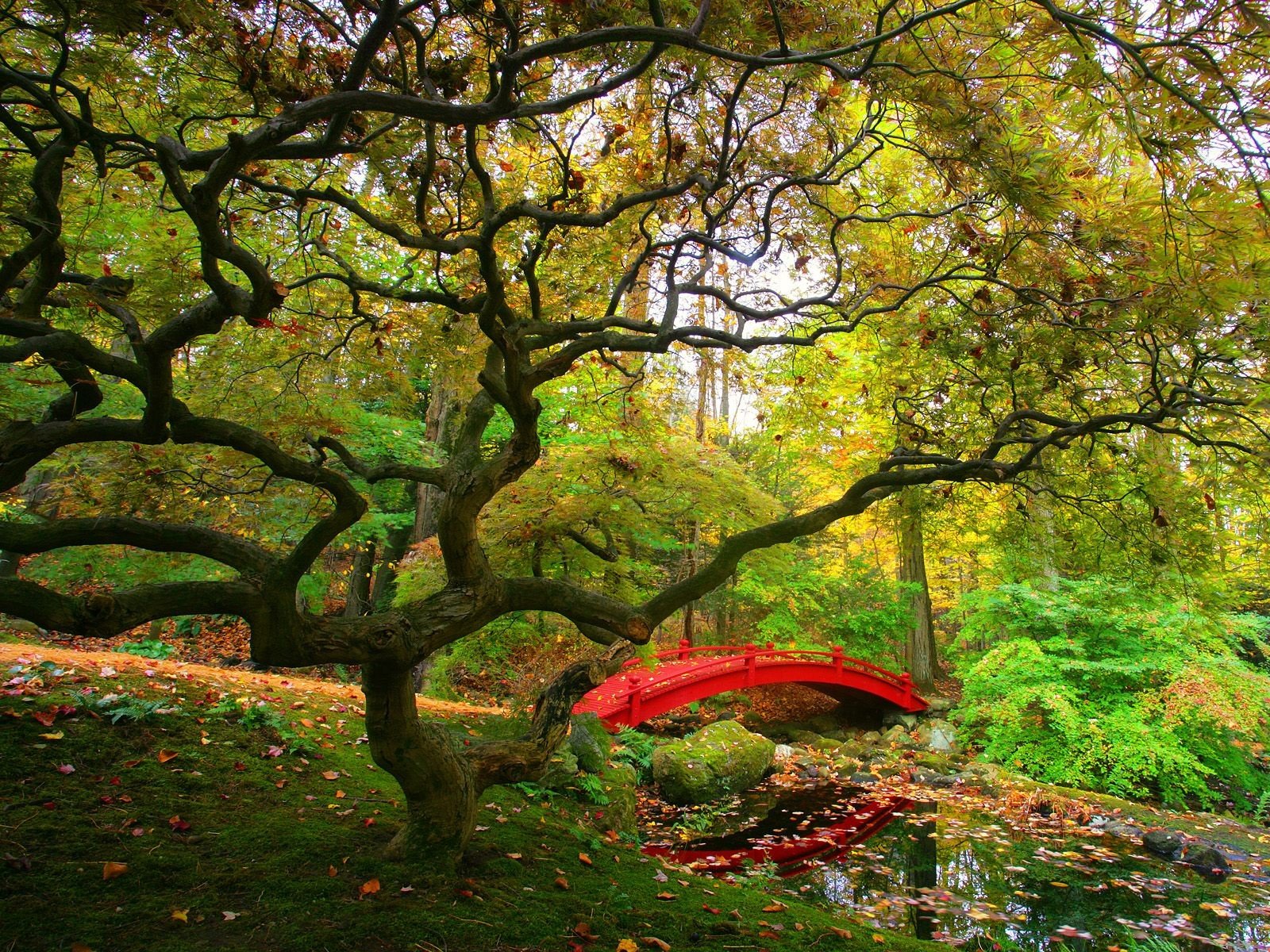 Download hd 1600x1200 Japanese Garden PC wallpaper ID:92640 for free