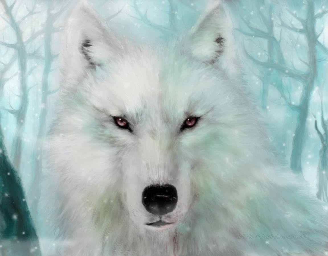 High resolution Wolf Fantasy hd 1152x900 background ID:346571 for PC